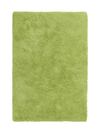 Tapis vert